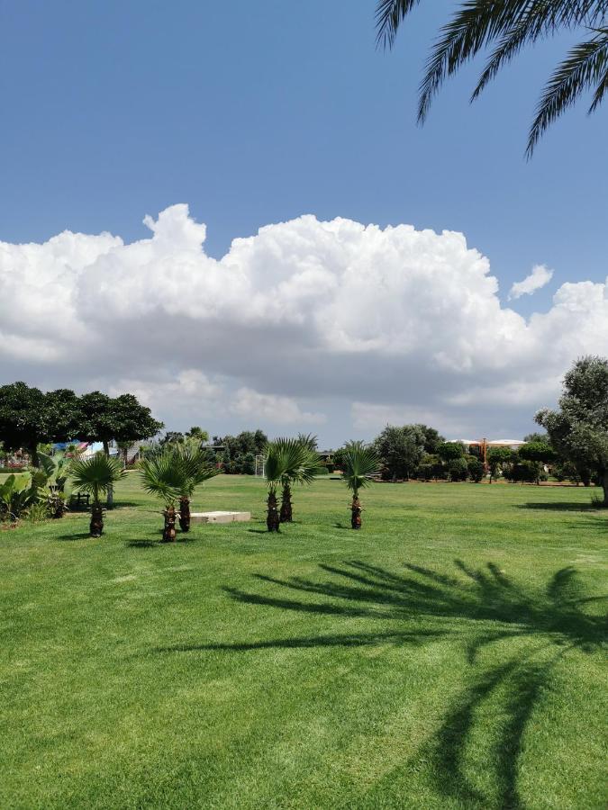 Green Apartment In Bafra Northern Cyprus Vokolidha ภายนอก รูปภาพ