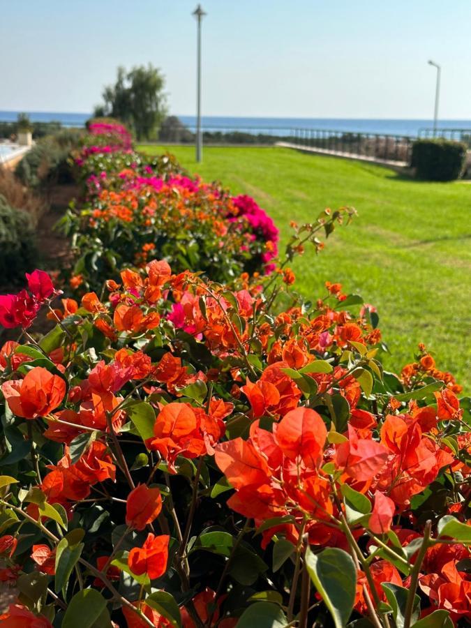 Green Apartment In Bafra Northern Cyprus Vokolidha ภายนอก รูปภาพ